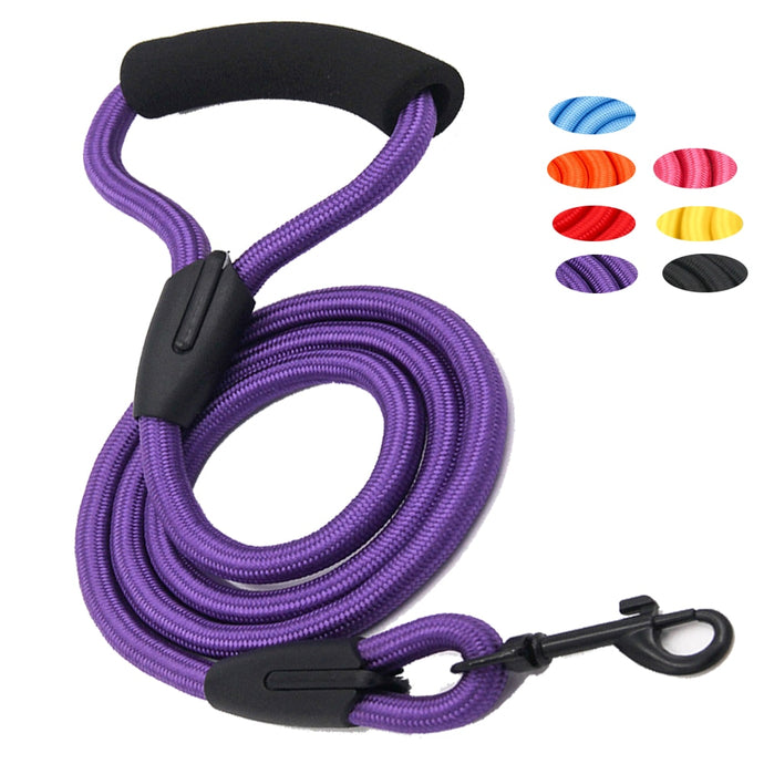 Dog Leash