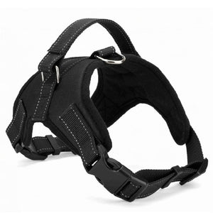 Nylon Heavy Duty Dog Pet